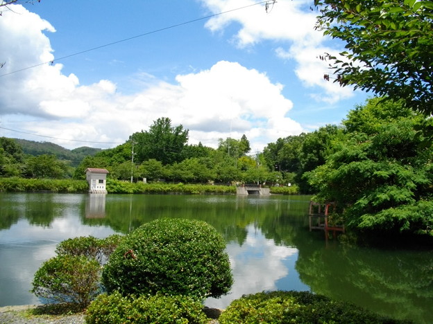 上野公園 広島県庄原市 写真共有サイト フォト蔵