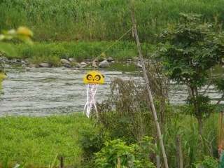 パンダ?