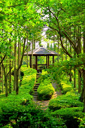 新緑の庵