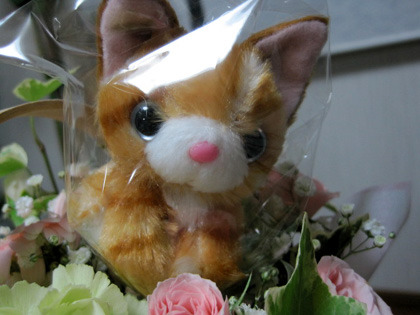ブルーさんからのお花。