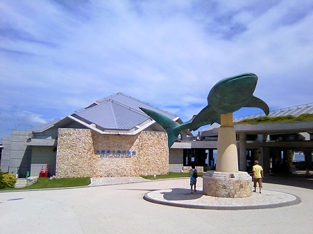 lifeximg_20100720053255