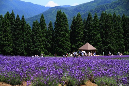 Blog_20140706_006