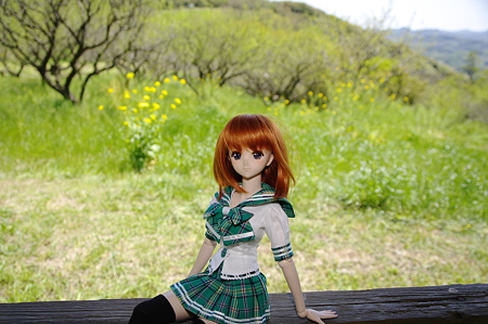 IMGP8827