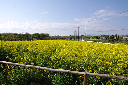 IMGP8963