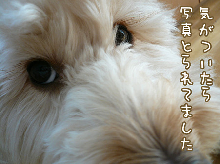 自然体 1