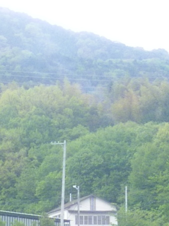 SBSH0302