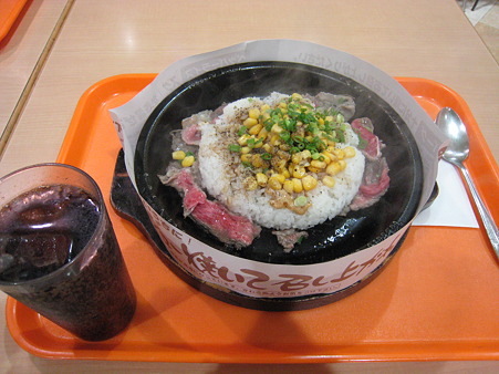 20110108 005