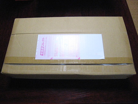 20110108 001