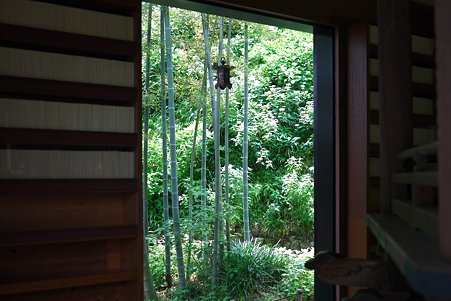 2012.06.06　鎌倉　長谷寺　経蔵から若竹と紫陽花