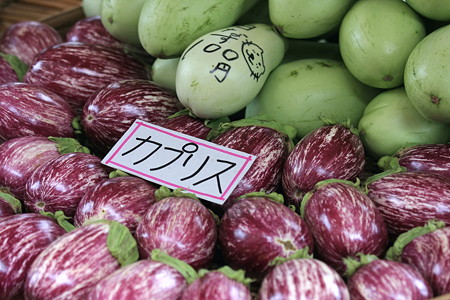 2010.08.20　高山　宮川朝市　白茄子