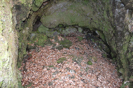 溶岩樹型