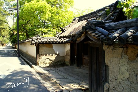 奈良 薬師寺にて・・10