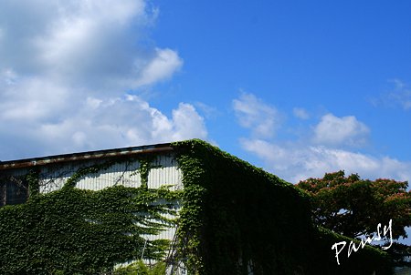 空青く・・米沢さんぽ～3 上杉の城下町へ・・