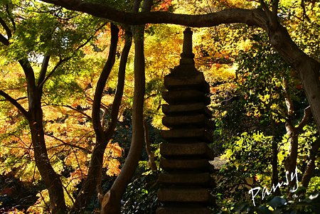 石塔・・紅葉の三渓園・・12