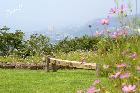山頂より・・晩夏の海と街・・