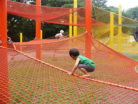 7月　立川　昭和記念公園