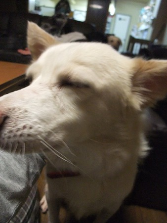 はーい♪