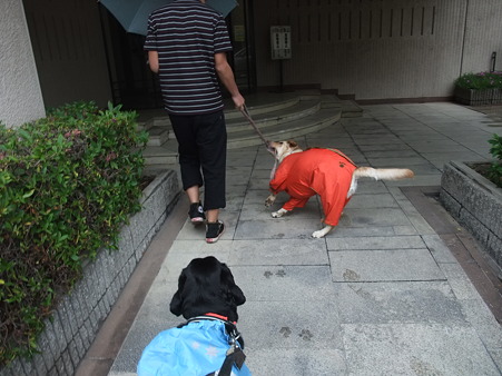 まだ帰りたくないねん!