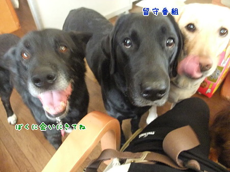 待ってるよ