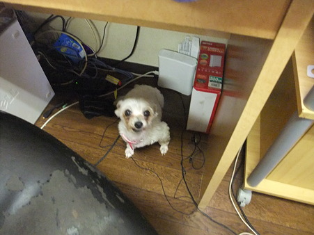 いつもココでした