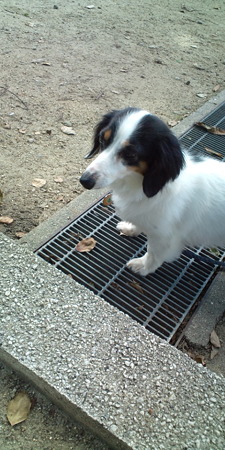 20100805093852