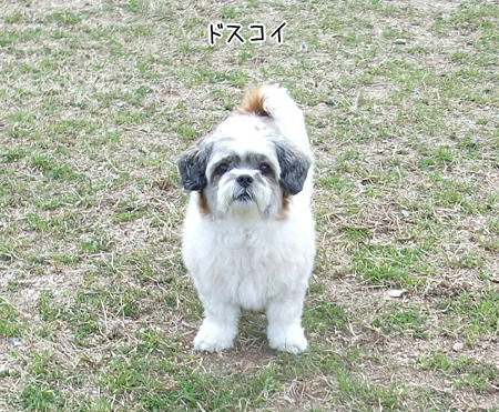 首はある・・・はず