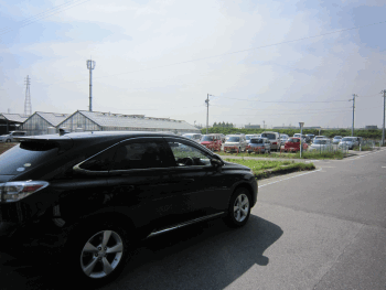 IMG_2431_220110606211934