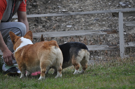 DSC_0033
