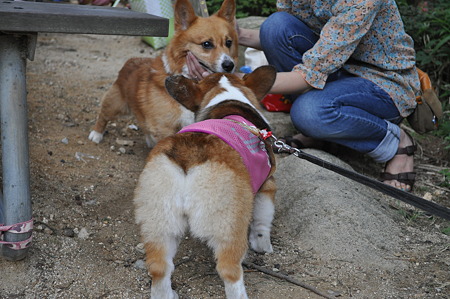 DSC_0030