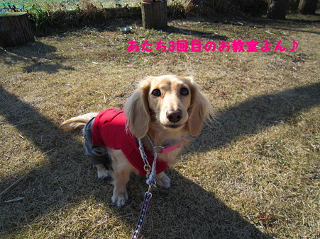 まだ集中力あり!