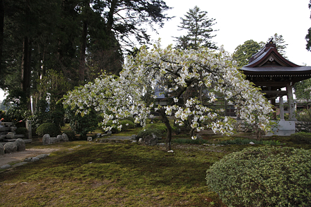 宝積寺 - 1