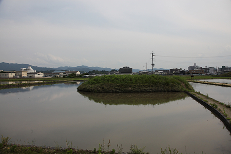 元薬師寺跡 - 02