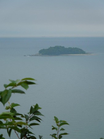 DSCN3660