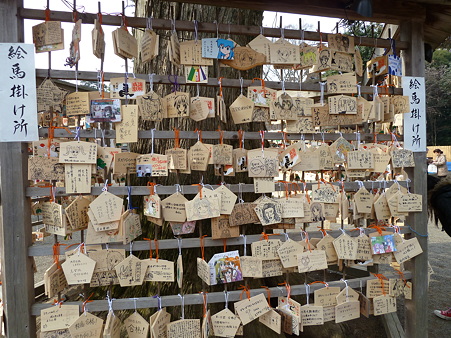 P1000818