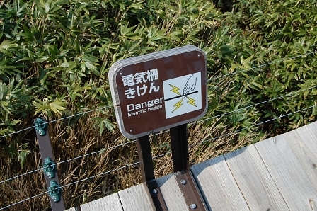 電気柵