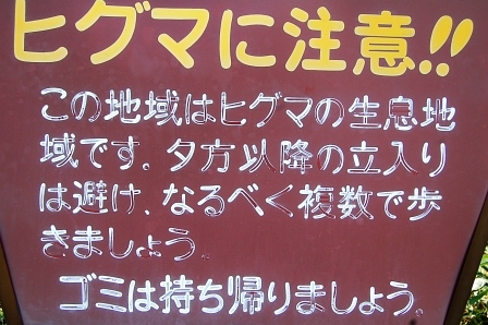 ひぐま
