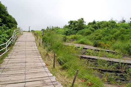 散策路