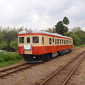 Photos: DMU Kiha 52 / in Isumi Railway with the vintage head-mark.