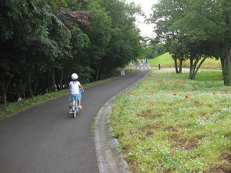 双葉チャリ後姿