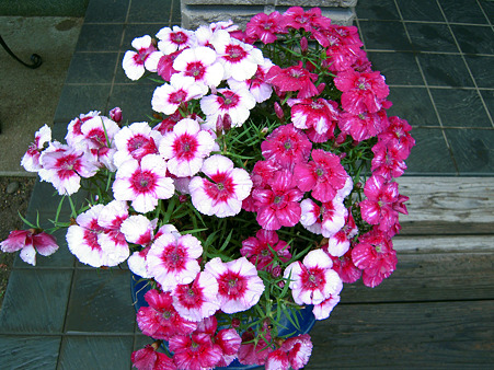 DSCN0852_edited