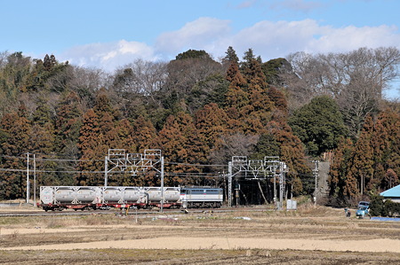 DSC_8600a
