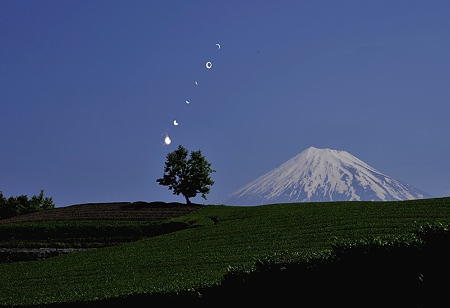 内宮のお茶と日食リング3