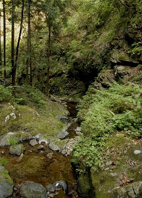 白岩の滝道のり1