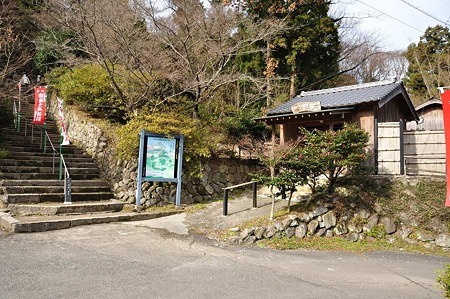 1001031244_DSC_8257