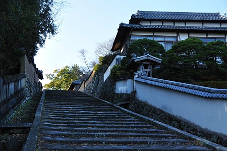 1001031555_DSC_8620