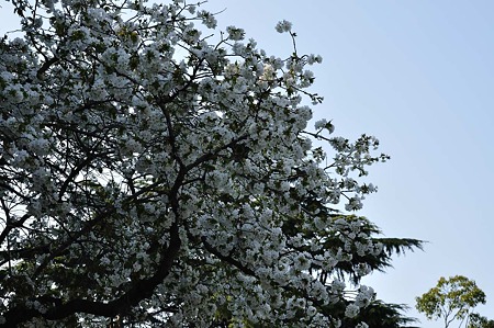 1003221544_DSC_1237