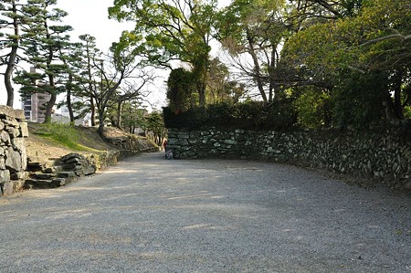 1003221549_DSC_1252