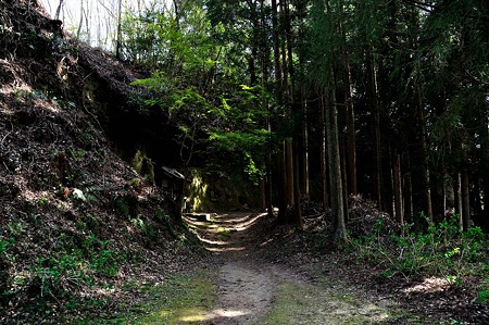 1005030855_DSC_3007