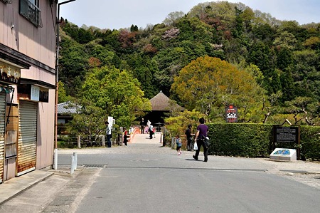 1005031032_DSC_3079