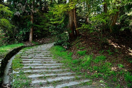 1005031247_DSC_3227